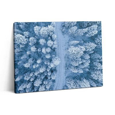 Pictură pe pânză 80x60 Vedere aeriană a pădurii. Drone