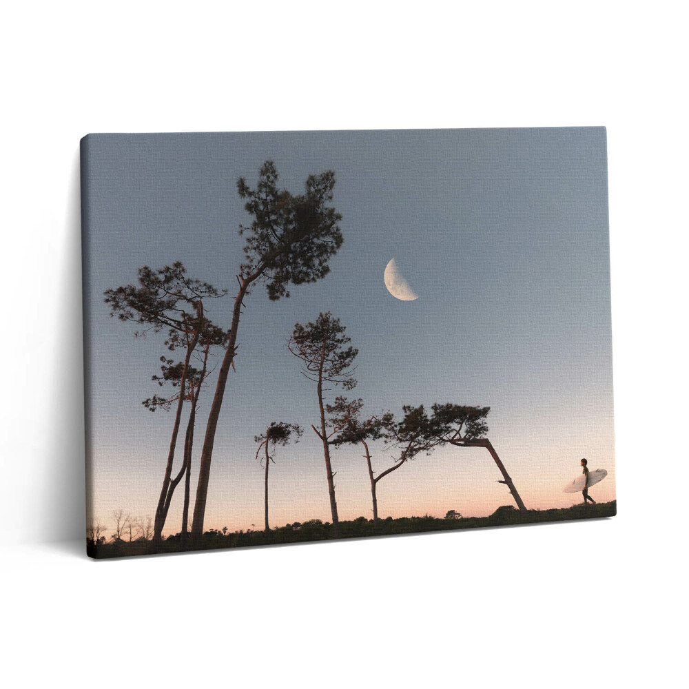 Pictură pe pânză 80x60 Semilună și copaci
