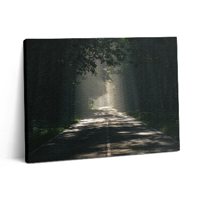 Pictură pe pânză 80x60 Drum forestier și fâșii de soare