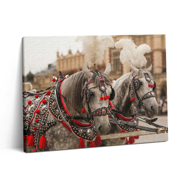 Pictură pe pânză 80x60 Cai frumoși în Cracovia