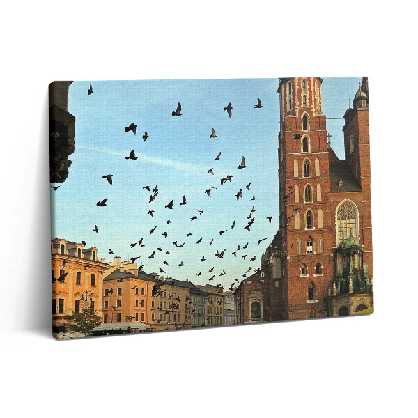 Pictură pe pânză 80x60 Porumbei în orașul Cracovia
