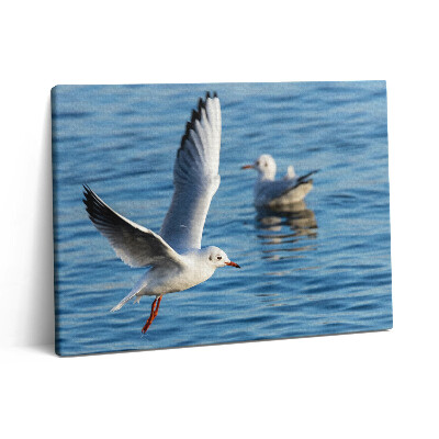 Pictură pe pânză 80x60 Pescărușii din Gdynia