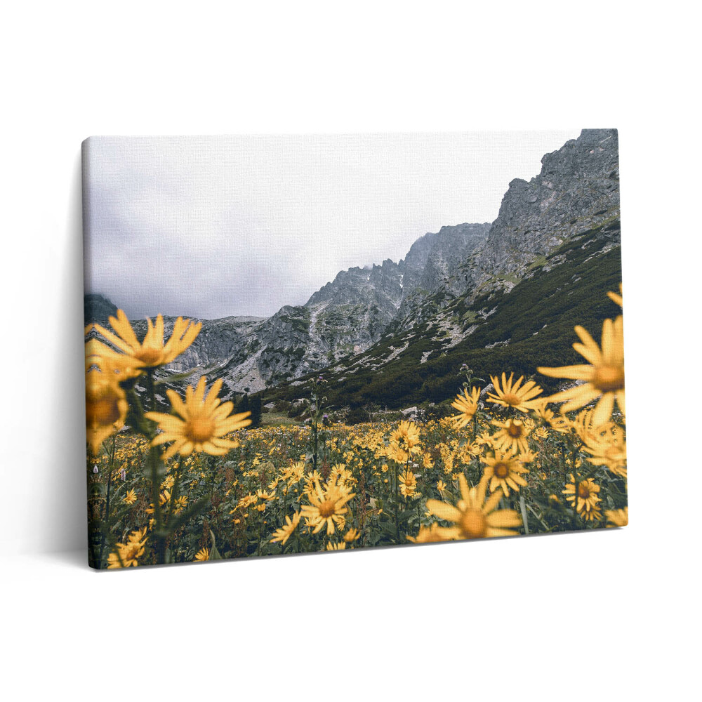 Pictură pe pânză 80x60 Pajiște cu flori din Munții Tatra