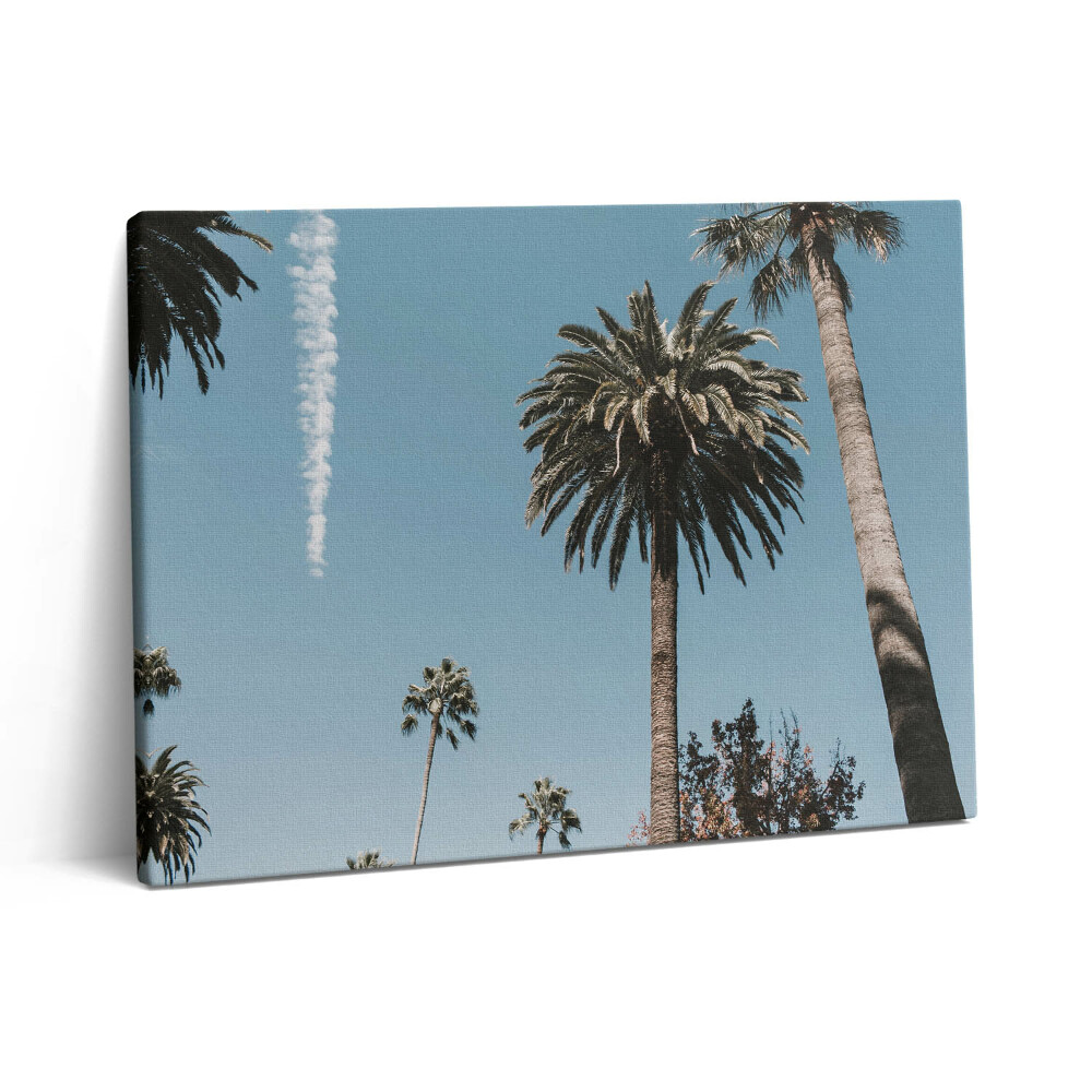 Pictură pe pânză 80x60 Palmieri în Los Angeles