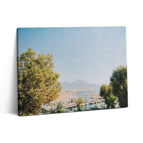 Pictură pe pânză 80x60 Copaci verzi în Napoli