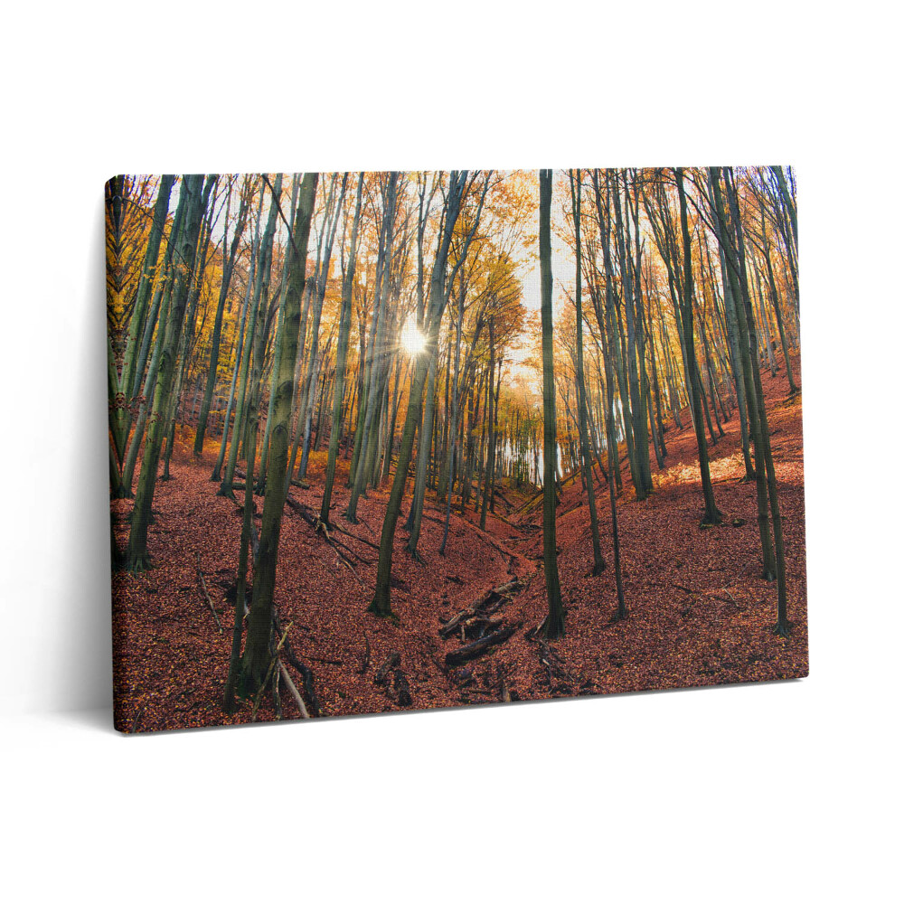 Pictură pe pânză 80x60 Apus de soare și copaci