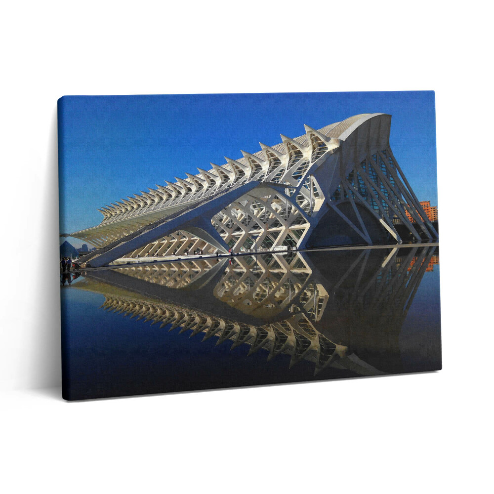 Pictură pe pânză 80x60 Muzeul de Știință din Valencia