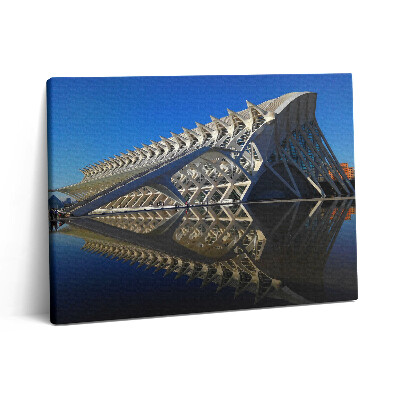 Pictură pe pânză 80x60 Muzeul de Știință din Valencia