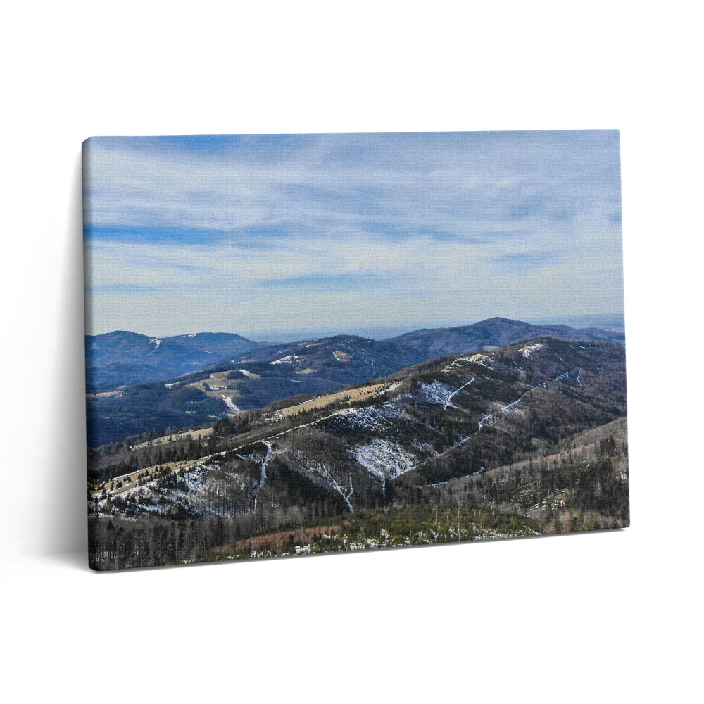 Pictură pe pânză 80x60 Peisajul din Równica Ustroń