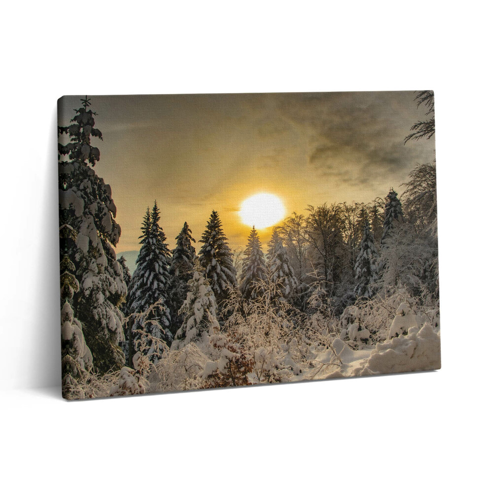 Pictură pe pânză 80x60 Peisaj de iarnă al Munților Beskid