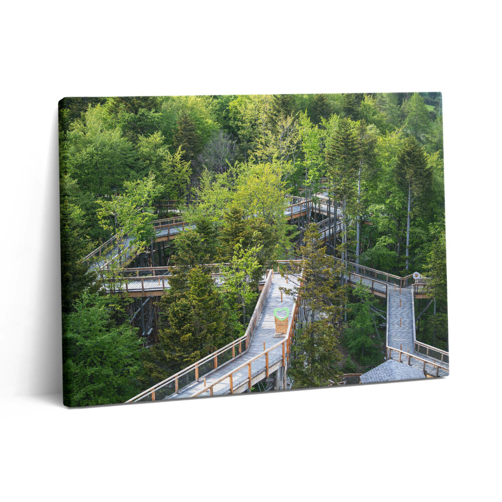 Pictură pe pânză 80x60 Calea în Krynica Zdrój