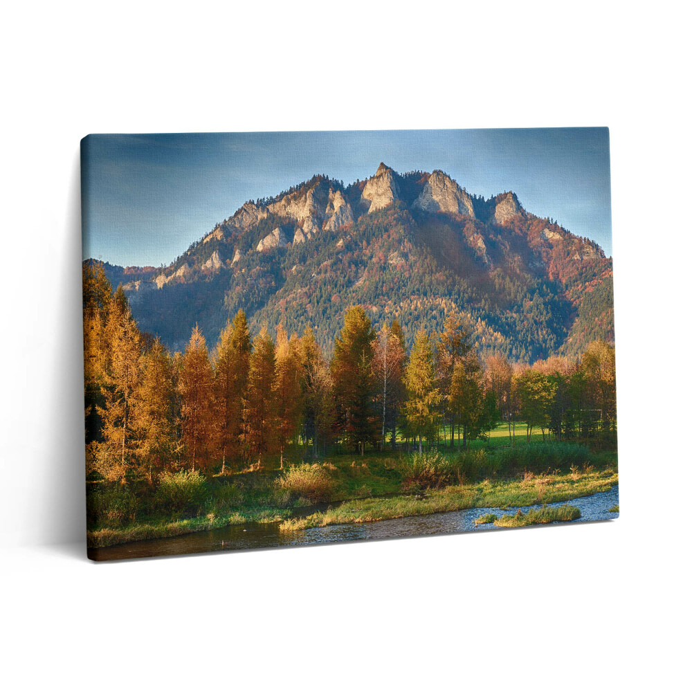 Pictură pe pânză 80x60 Vârful Trei Coroane