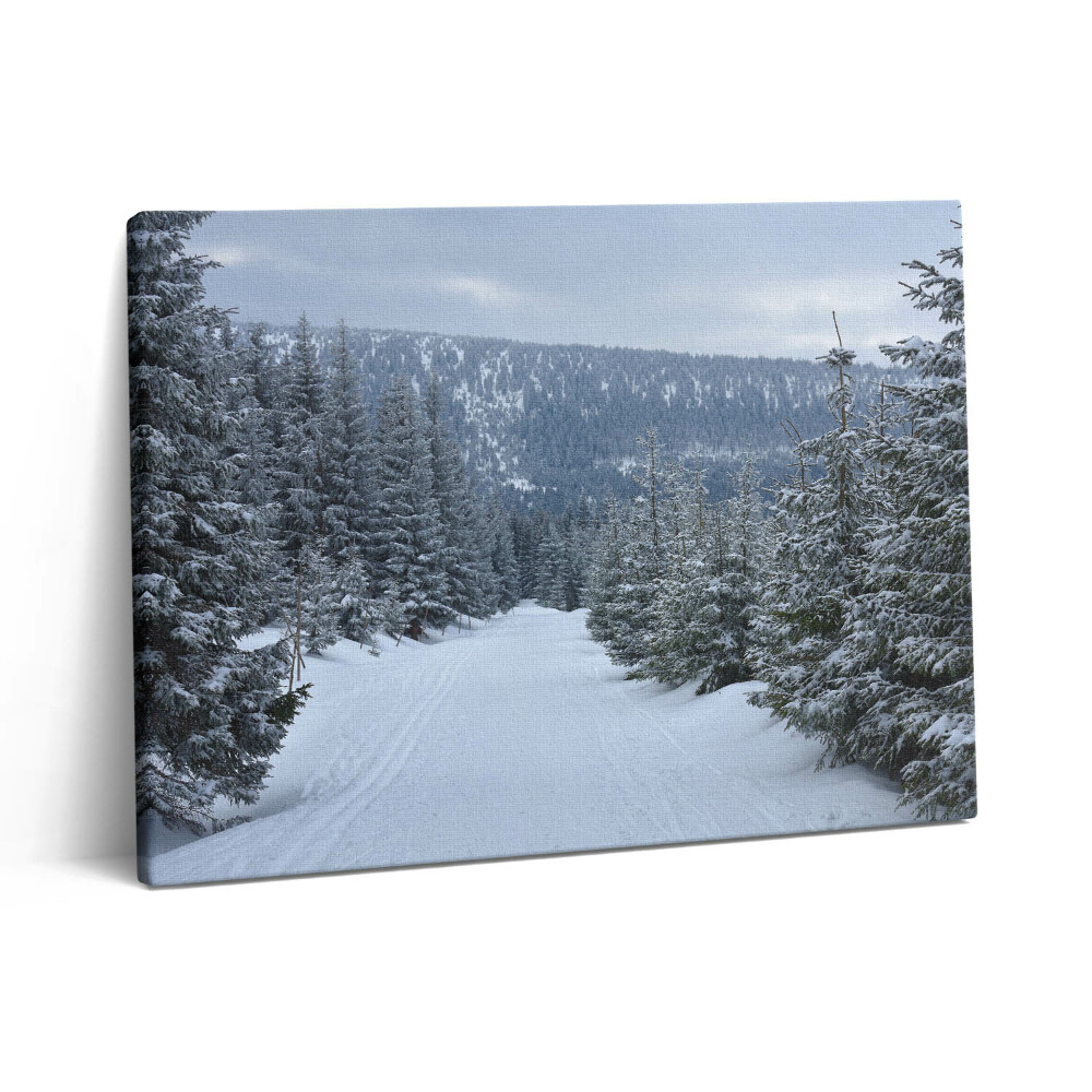 Pictură pe pânză 80x60 Munții Giganți Cehi în timpul iernii