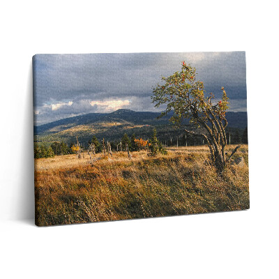 Pictură pe pânză 80x60 Karkonosze în toamnă
