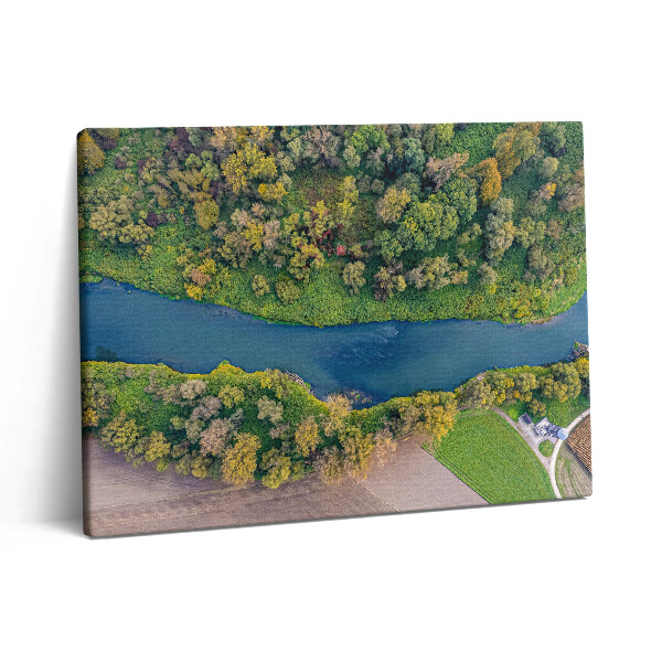 Pictură pe pânză 80x60 Rujeola în Republica Cehă