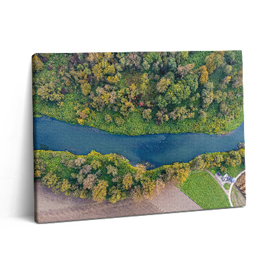 Pictură pe pânză 80x60 Rujeola în Republica Cehă