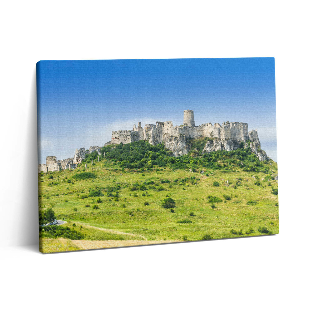 Pictură pe pânză 80x60 Castelul Spiš din Slovacia