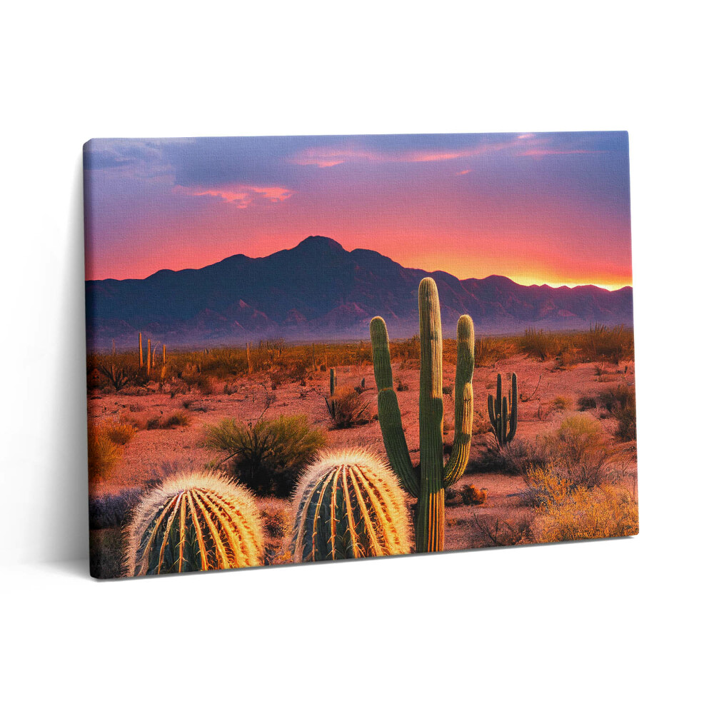 Pictură pe pânză 80x60 Apus de soare în deșert