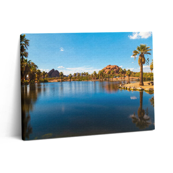 Pictură pe pânză 80x60 Peisajul parcului Papago