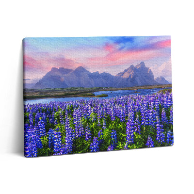 Pictură pe pânză 80x60 Câmpuri de lavandă - Islanda