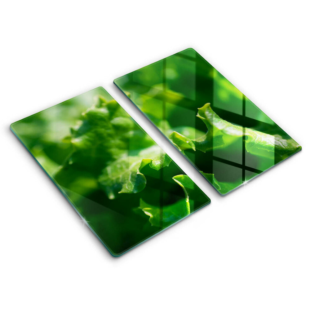 Placă de protecție pentru plita frunze de salată verde