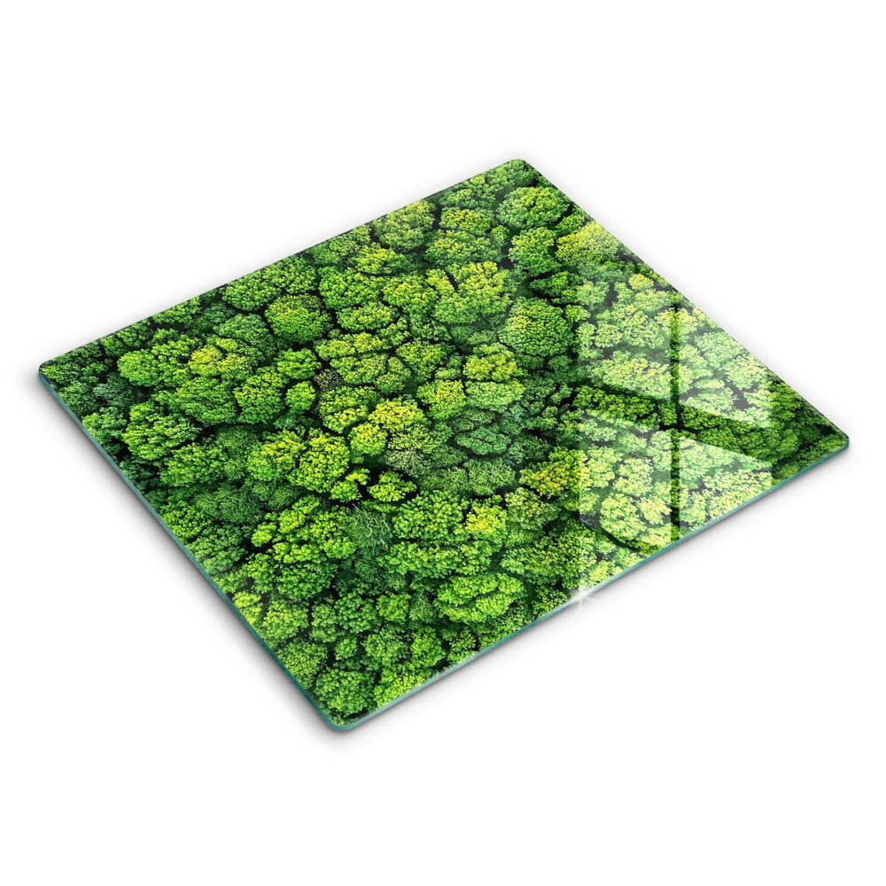 Decorativ placă sticla protectie aragaz Plante naturale mușchi 60x52 cm 