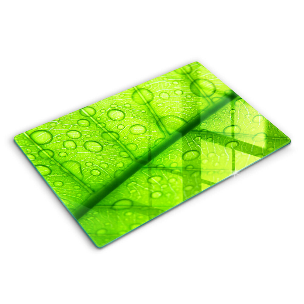 Modern placă din sticla protectie perete bucatarie Prim-plan al unei frunze 80x52 cm