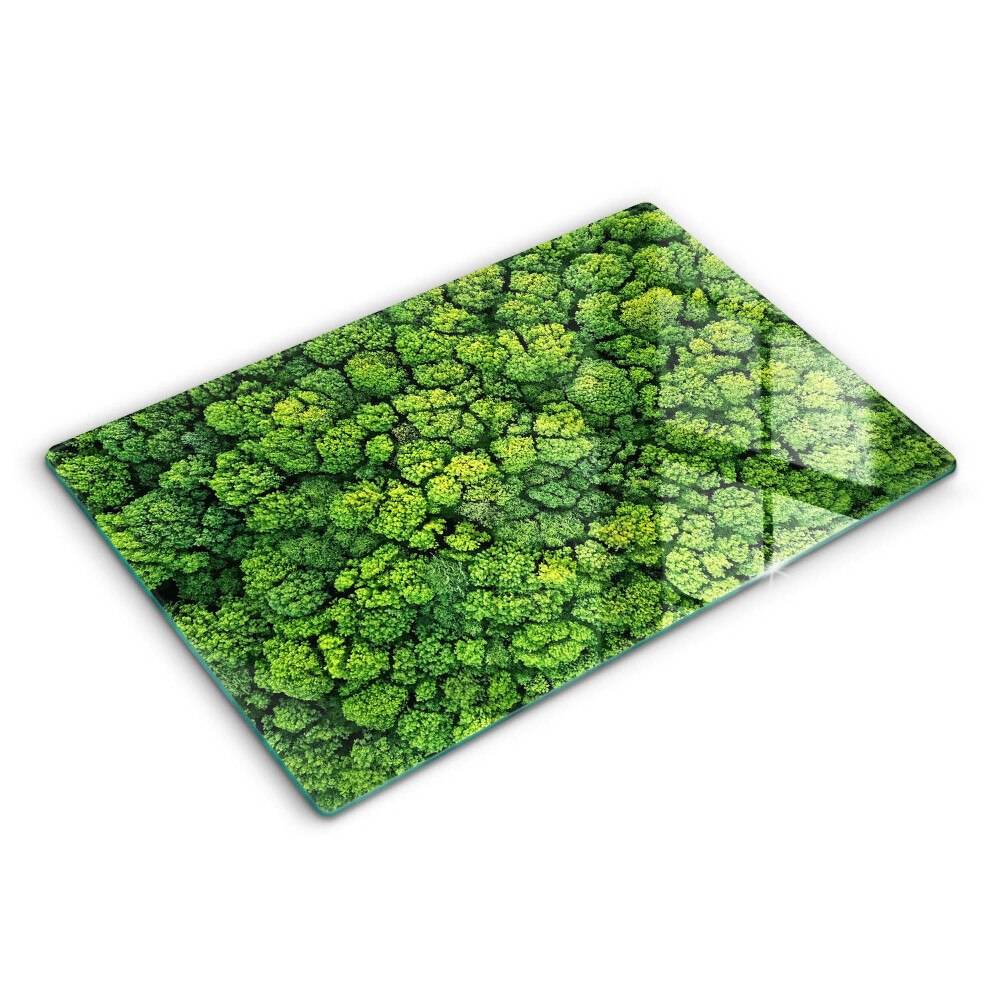 Modern placă din sticla protectie perete bucatarie Plante naturale mușchi 80x52 cm