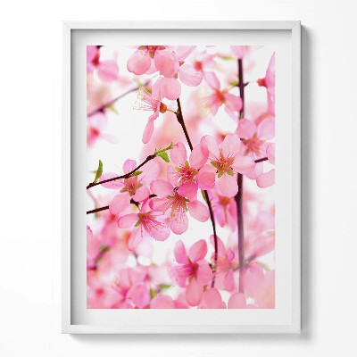 Tablou rama Flori roz de primăvară pe ramuri