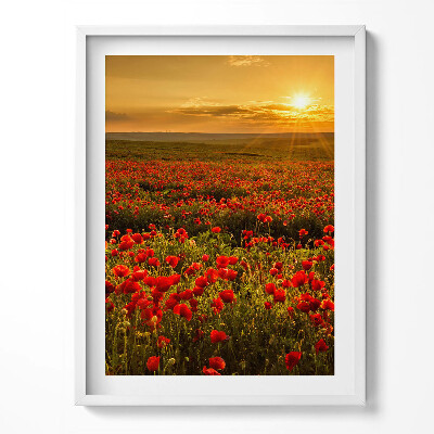 Tablou living cu rama Peisaj al unei pajiști cu flori de mac