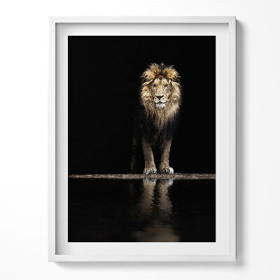 Tablou living cu rama Leu sălbatic, animal singuratic