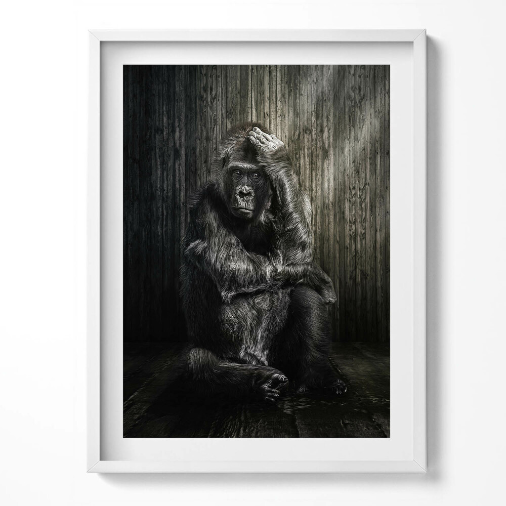 Tablou living cu rama O maimuță gândind în umbră