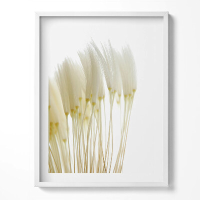 Tablou rama Ierburi albe delicate
