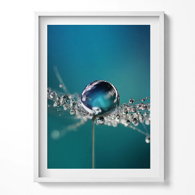Tablou living cu rama O picătură de rouă pe o păpădie