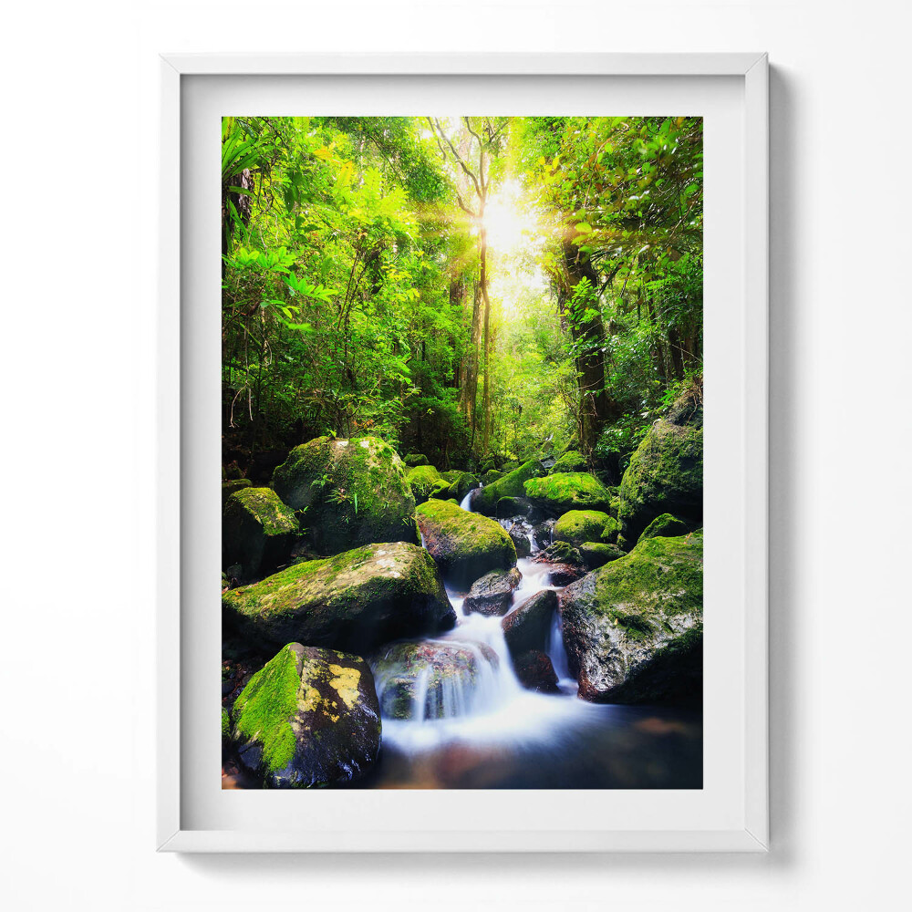 Tablou living cu rama Cascadă în mijlocul junglei