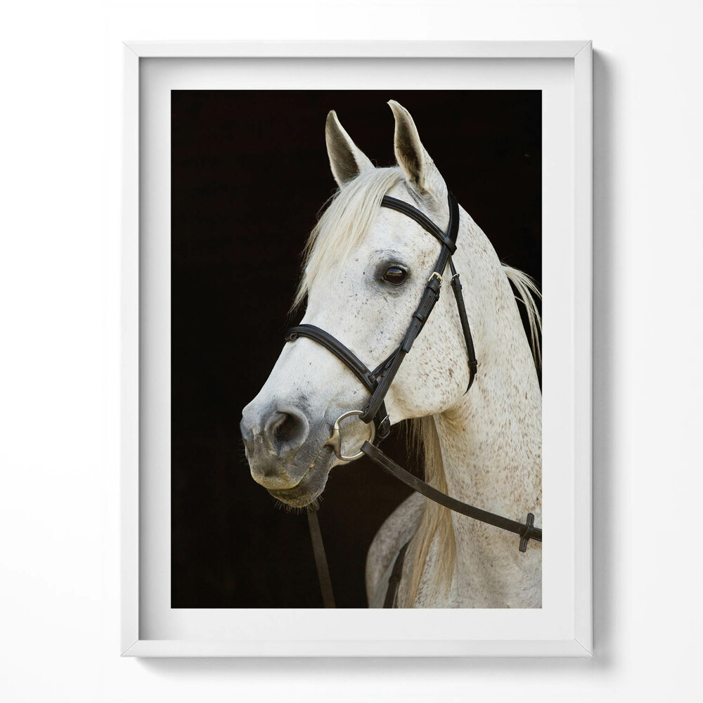 Tablou living cu rama Cal alb