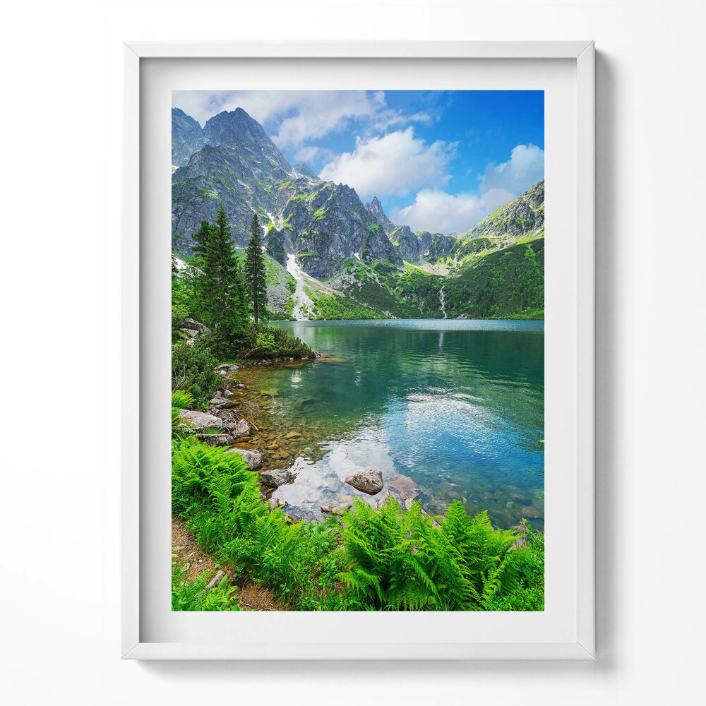 Tablou rama Peisaj montan de pădure