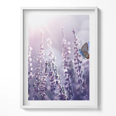 Tablou living cu rama Fluture pe flori sălbatice