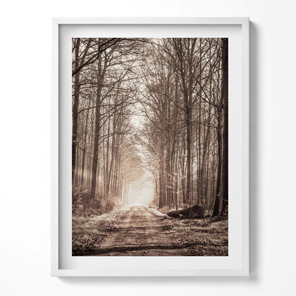 Tablou rama Cale de pădure în tonuri sepia