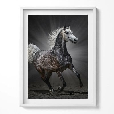 Tablou living cu rama Calul galopant