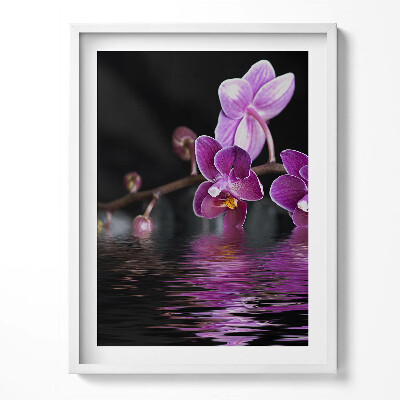 Tablou rama Orhidee roz pe apă