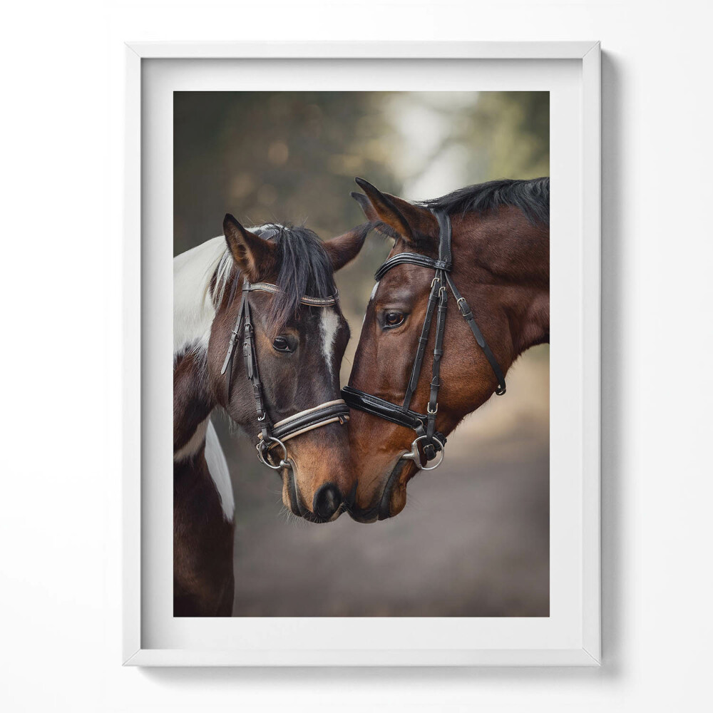 Tablou rama Portret de cai în pădure