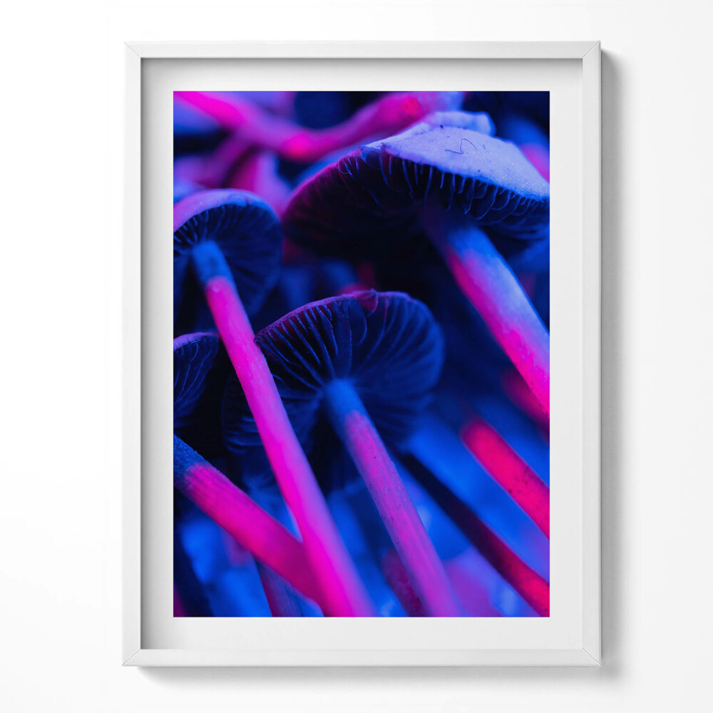 Tablou living cu rama Ciuperci magice colorate