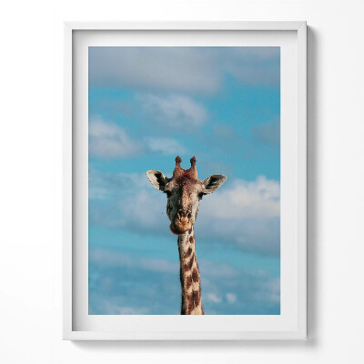 Tablou rama Cap de girafă pe cer