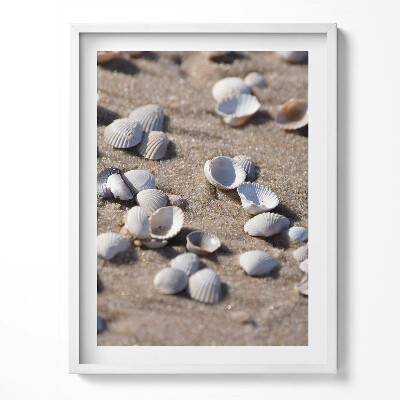 Tablou living cu rama Scoici pe plajă
