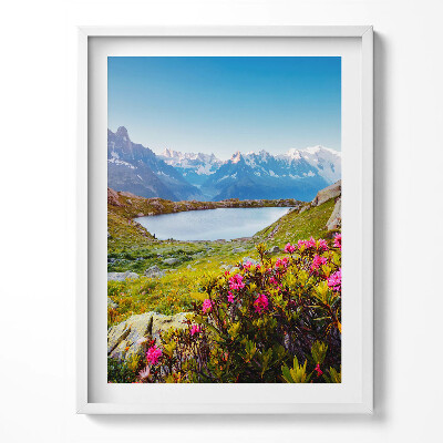 Tablou rama Ghețarul Mont Blanc Chamonix