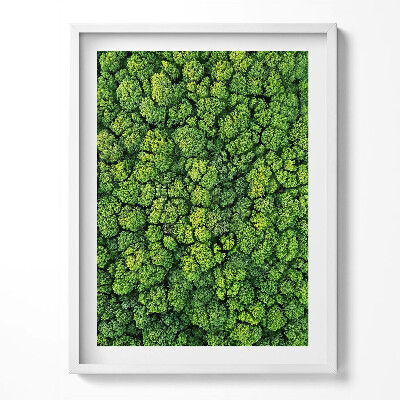 Tablou rama Pădurea din vedere