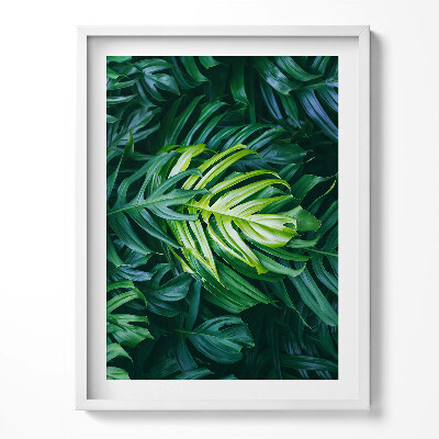 Tablou living cu rama Frunze de Monstera sălbatică