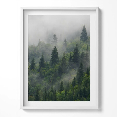 Tablou rama Peisaj de pădure în ceață