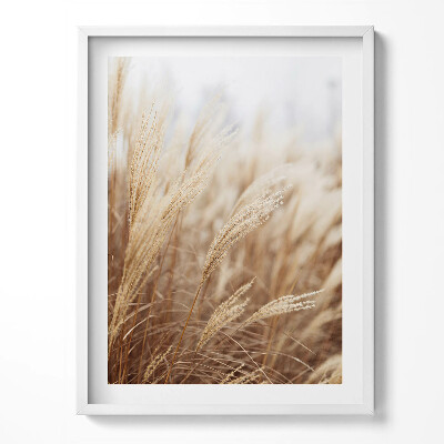 Tablou living cu rama Cereale cu iarbă boho Nature